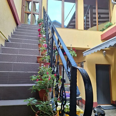 Casa de hóspedes Trandafir Constança