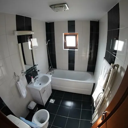 Trandafir Constança